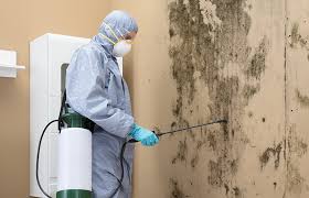 Best Mold Remediation for Healthcare Facilities  in Intercourse, PA